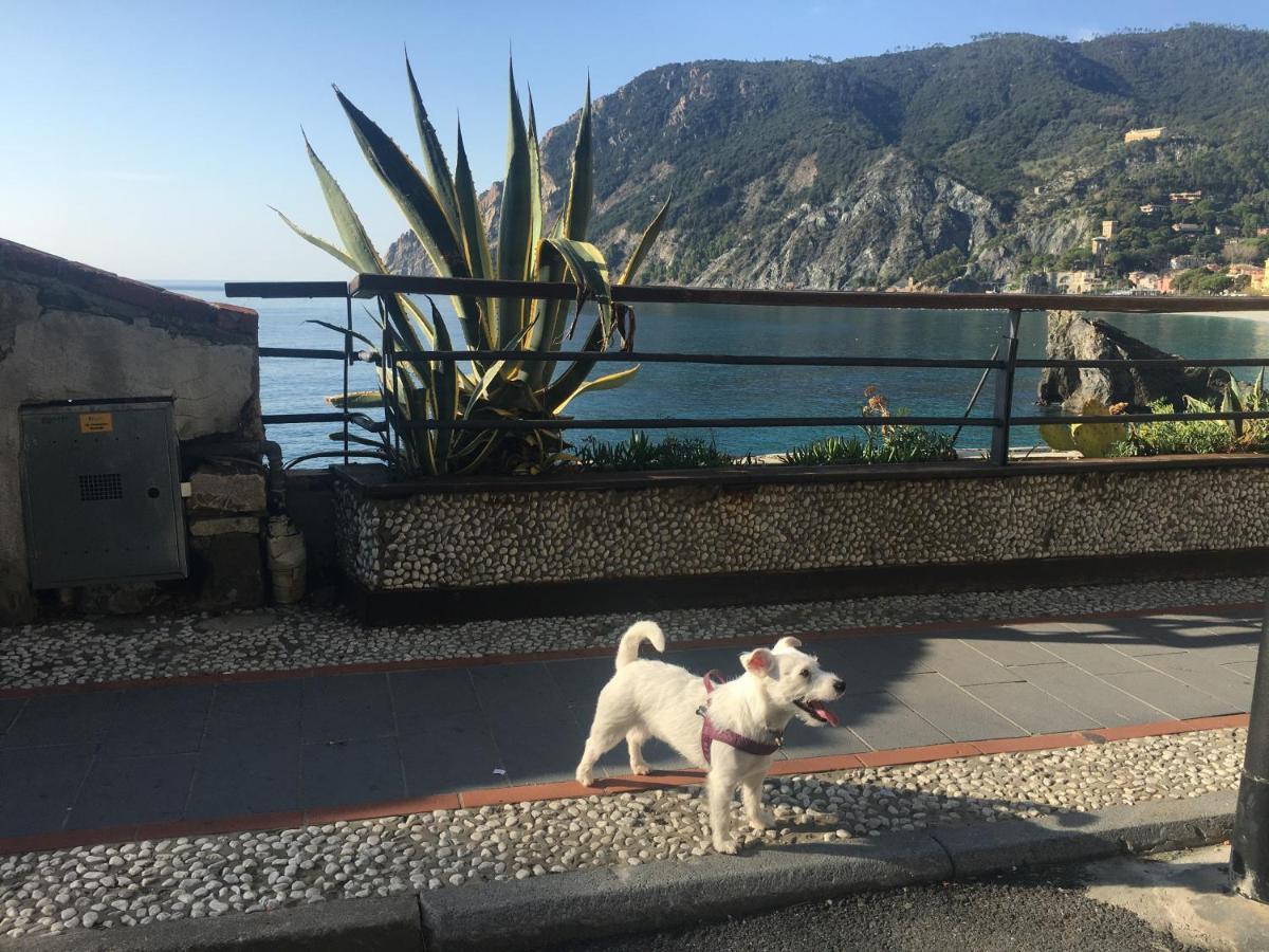 Appartement Le Cinque Vele ***** Cinque Terre à Monterosso al Mare Extérieur photo